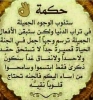 sihame أنا بنت حلال من المغرب أبحث عن زوج - موقع زواج عرسان sihame أنا بنت حلال من المغرب أبحث عن زوج - موقع زواج عرسان